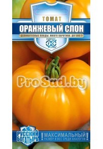 Томат Оранжевый слон