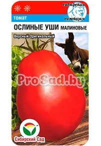 Томат Ослиные уши Малиновые