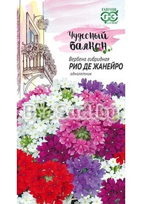 Вербена низкая Рио де Жанейро, смесь