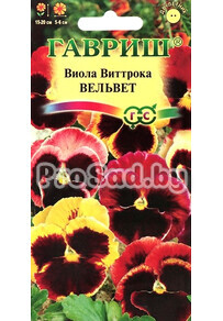 Виола Виттрока (Анютины глазки) Вельвет, смесь