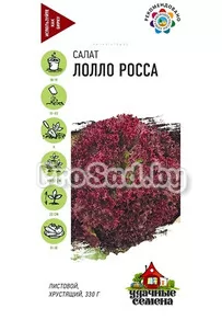 Салат листовой Лолло Росса