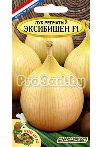 Лук репчатый Эксибишен (Голландия)