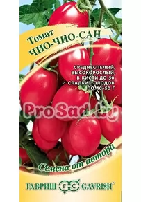 Томат Чио-Чио-Сан