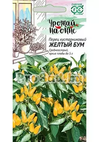 Перец кустарниковый острый Жёлтый бум