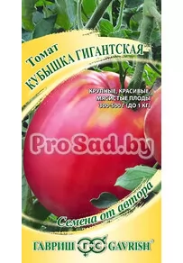 Томат Кубышка гигантская