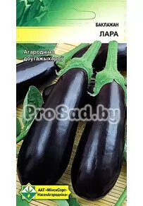 Баклажан Лара