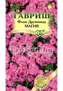 Флокс друммонда Магия