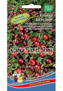 Клюква крупноплодная Бен Лир