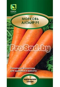 Морковь F1 Альтаир