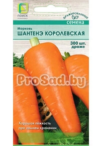 Морковь Шантенэ Королевская