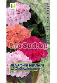 Пеларгония зональная Шоколадница Смесь окрасок