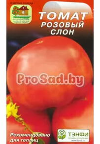 Томат Розовый слон