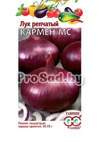 Лук репчатый Кармен МС