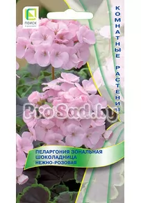 Пеларгония зональная Шоколадница Смесь окрасок