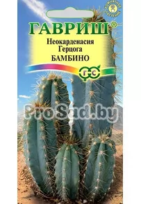 ​Неокарденасия Герцога Бамбино