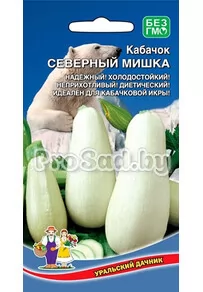 Кабачок Северный мишка