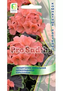 Пеларгония зональная Шоколадница Коралловая