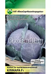 Капуста краснокочанная F1 Климаро (Голландия)