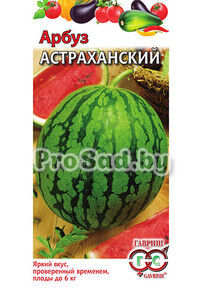 Арбуз Астраханский