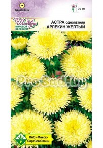 Астра Арлекин жёлтый (Германия)