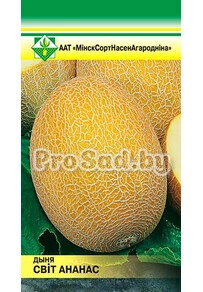 Дыня Свит ананас
