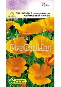 Эшшольция калифорнийская Оранжевый король
