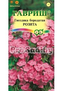 Гвоздика турецкая Розита