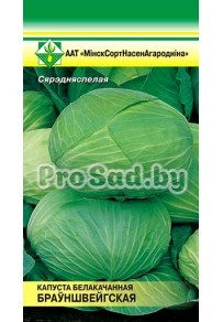 Капуста белокочанная Брауншвейгская