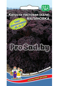 Капуста листовая (кале) Малиновка