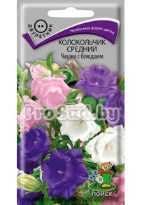 Колокольчик средний Чашка с блюдцем