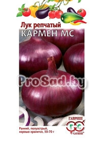 Лук репчатый Кармен МС