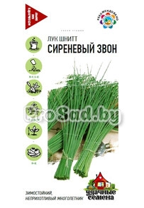 Лук шнитт Сиреневый звон