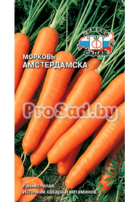 Морковь Амстердамска