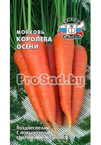 Морковь Королева осени