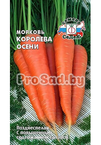 Морковь Королева осени