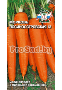 Морковь Лосиноостровская 13