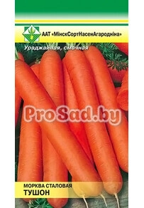 Морковь Тушон (Германия)