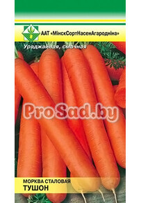 Морковь Тушон (Германия)