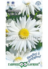Нивяник Аляска