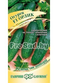Огурец F1 Орлик