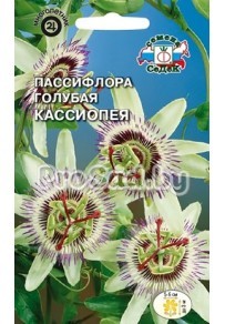 Пассифлора голубая Кассиопея
