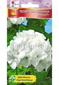Пеларгония зональная F1 Алина