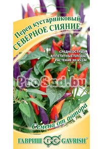 Перец кустарниковый Северное сияние