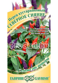 Перец кустарниковый Северное сияние
