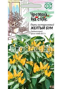 Перец кустарниковый острый Жёлтый бум