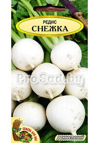 Редис Снежка (Польша))