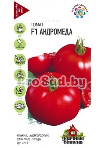 Томат F1 Андромеда