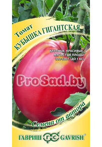 Томат Кубышка гигантская