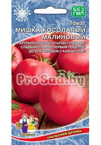 Томат Мишка косолапый Малиновый
