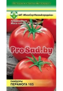 ТОМАТ Перамога 165 / Победа 165